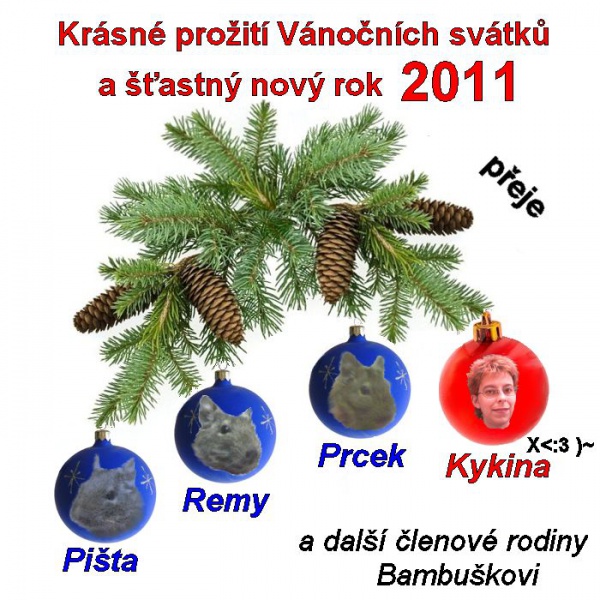 Soubor:PF2011.jpg